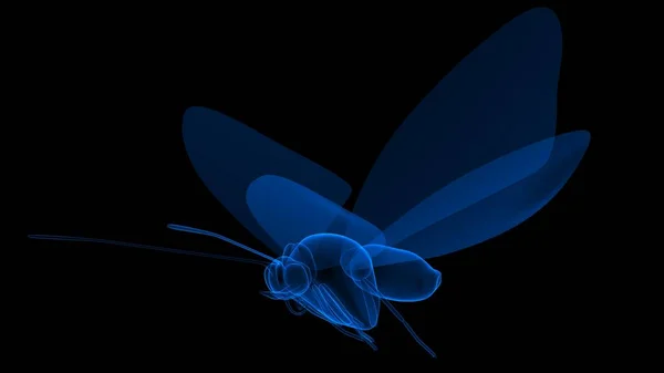 Borboleta Cor Azul Fundo Preto Renderização — Fotografia de Stock