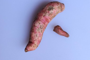 Beyaz arka planda izole edilmiş taze patates.