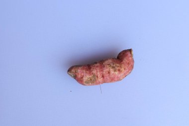 Beyaz arka planda izole edilmiş taze patates.