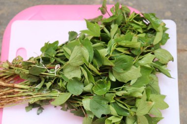 Rozelle beyaz arkaplanda izole bırakılıyor