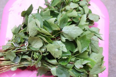 Rozelle beyaz arkaplanda izole bırakılıyor