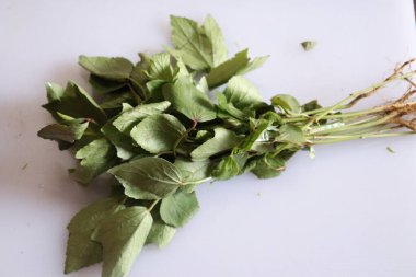 Rozelle beyaz arkaplanda izole bırakılıyor