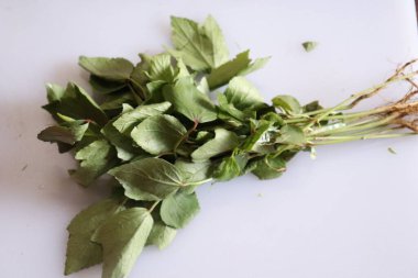 Rozelle beyaz arkaplanda izole bırakılıyor