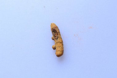 Beyaz arkaplanda taze kurutulmuş zerdeçal kökü izole edildi