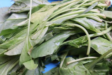 Hint ıspanağı körisi geleneksel kasede servis edilir.