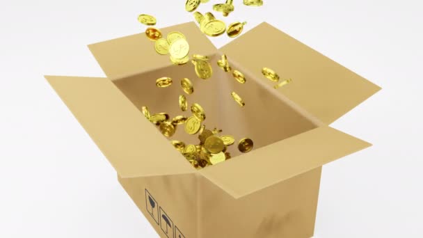 Rendering Number Golden Dollars Coins Falling Brown Package White Background — Video Stock