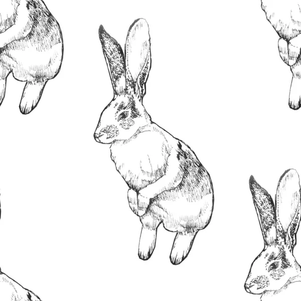 Beyaz Arka Plan Üzerinde Izole Tavşan — Stok fotoğraf