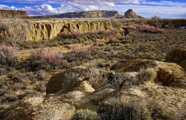 Canyon River Wash:  A dry floodplain forms the floor of Chaco Canyon in western New Mexico.