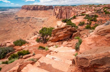 Canyon Rim Hiking Trail:  A foot path leads down a rock stairway and along a canyon rim in Canyonlands National Park.
