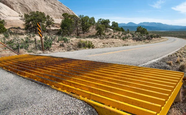 Guarda Gado Uma Grade Metal Colocada Pavimento Uma Estrada Rural — Fotografia de Stock