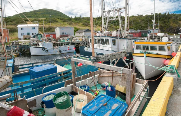 Gewerblicher Fischereihafen Neufundland Boote Mit Fischereiausrüstung Warten Einem Betondock Einem — Stockfoto