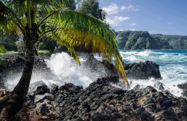 Hawaii 'deki Rocky Shore: Maui' nin kuzey sahilindeki volkanik kayalara sert dalgalar çarpıyor.