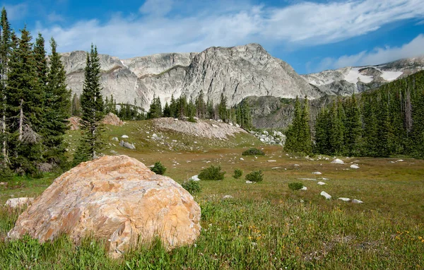 Desmonte Montaña Prado Rocoso Abre Base Cordillera Nevada Sur Wyoming —  Fotos de Stock