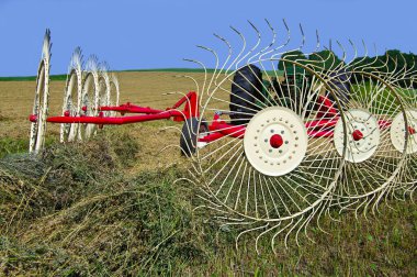 Raking Hay:  Wheels made of heavy wire spokes, pulled by a tractor, gather furrows of cut hay in preparation for baling.