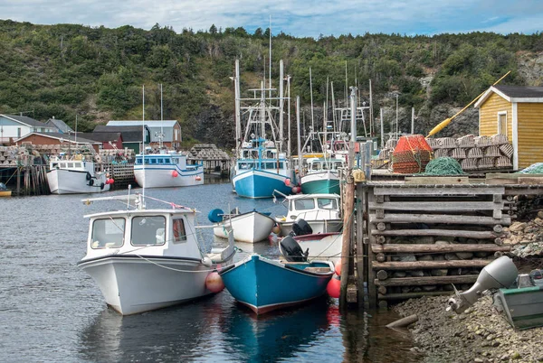 Small Harbor Newfoundland Fishing Boats Various Sizes Gather Rustic Wooden — Stockfoto