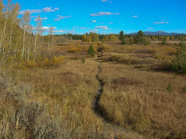 Trail Narrow Well Used Trail Leads Grassy Plain Grand Teton — Stok fotoğraf