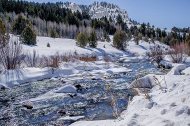 Utah 'taki Icy Mountain Stream Dağı' ndaki buz ve kardan akan bir derenin yüzeyinde parlak güneş ışığı parıldıyor. Kuzeydoğu Utah 'ın Naomi Wilderness Bölgesi.