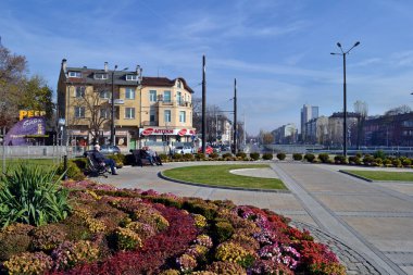 Sofya / Bulgaristan - Kasım 2017: Vladaya nehrindeki Aslan köprüsü yakınlarındaki çiçekler.