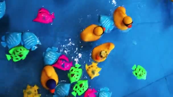 吸引儿童钓鱼 五彩斑斓的海生动物在游泳池里游泳 用渔网捕鱼 儿童娱乐 — 图库视频影像