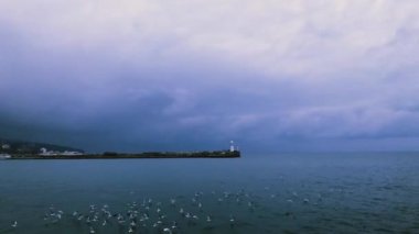 Deniz, iskelede deniz feneri ve alacakaranlıkta uçan martılar.