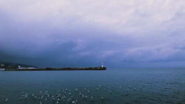 Море, маяк на пирсе и чайки, летящие в сумерках — стоковое видео