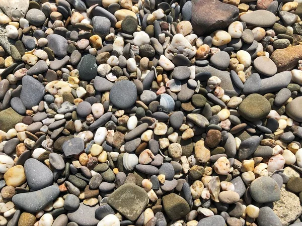 Des Cailloux Sur Plage Fond Abstrait Avec Des Cailloux Ronds — Photo