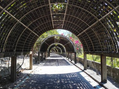 Parktaki tünel kemeri, güzel bir manzara, güneşli bir gün.