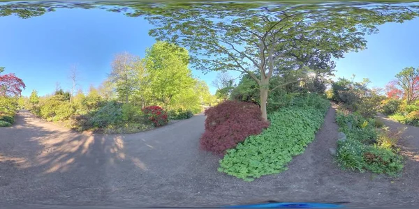 360 VR- Passarela no parque central, Gotemburgo, Suécia — Fotografia de Stock