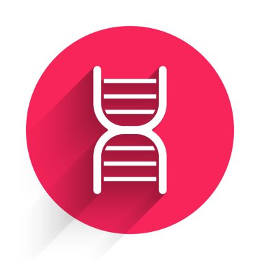 Beyaz DNA sembolü uzun gölgeli izole edilmiş. Kırmızı daire düğmesi. Vektör İllüstrasyonu