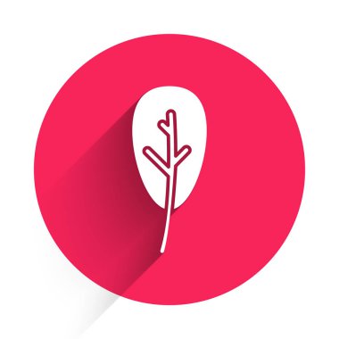 Beyaz Yaprak simgesi uzun gölgeli. İşaret bırakıyor. Taze doğal ürün sembolü. Kırmızı daire düğmesi. Vektör İllüstrasyonu