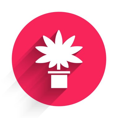 Uzun gölgeli beyaz tıbbi marihuana veya esrar bitkisi. Esrar yetiştirme konsepti. Kenevir saksısı. Kırmızı daire düğmesi. Vektör İllüstrasyonu