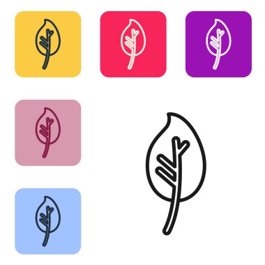 Siyah çizgi Yaprak simgesi beyaz arkaplanda izole edildi. İşaret bırakıyor. Taze doğal ürün sembolü. Renkli kare düğmelerle simgeleri ayarla. Vektör İllüstrasyonu