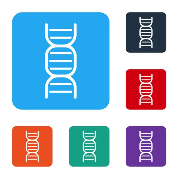 White Dna Symbol Icon Isolated White Background Set Icons Color — Stock Vector