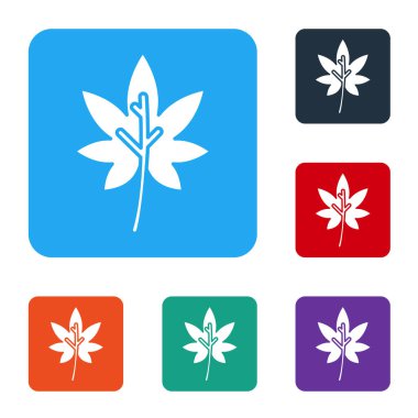 Beyaz Yaprak simgesi beyaz arkaplanda izole edildi. İşaret bırakıyor. Taze doğal ürün sembolü. Renkli kare düğmelerle simgeleri ayarla. Vektör İllüstrasyonu