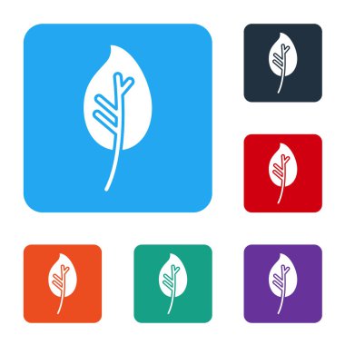 Beyaz Yaprak simgesi beyaz arkaplanda izole edildi. İşaret bırakıyor. Taze doğal ürün sembolü. Renkli kare düğmelerle simgeleri ayarla. Vektör İllüstrasyonu