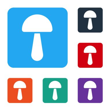 Beyaz Psilosibin mantar ikonu beyaz arkaplanda izole edilmiş. Psikedelik halüsinasyon. Renkli kare düğmelerle simgeleri ayarla. Vektör İllüstrasyonu