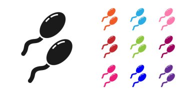 Beyaz arkaplanda siyah sperm simgesi izole edildi. Simgeleri renklendirin. Vektör İllüstrasyonu