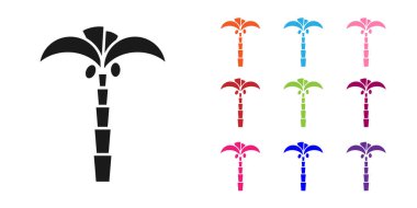 Beyaz arka planda izole edilmiş siyah tropik palmiye ağacı simgesi. Hindistan cevizi palmiyesi. Simgeleri renklendirin. Vektör İllüstrasyonu