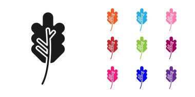 Beyaz arkaplanda siyah yaprak simgesi izole edildi. İşaret bırakıyor. Taze doğal ürün sembolü. Simgeleri renklendirin. Vektör İllüstrasyonu