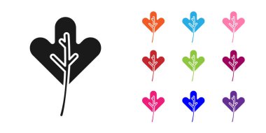 Beyaz arkaplanda siyah yaprak simgesi izole edildi. İşaret bırakıyor. Taze doğal ürün sembolü. Simgeleri renklendirin. Vektör İllüstrasyonu