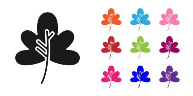 Beyaz arkaplanda siyah yaprak simgesi izole edildi. İşaret bırakıyor. Taze doğal ürün sembolü. Simgeleri renklendirin. Vektör İllüstrasyonu