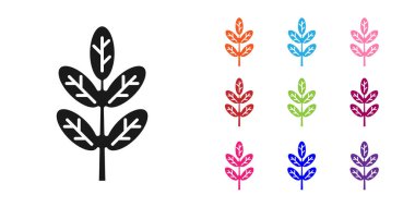 Beyaz arkaplanda siyah yaprak simgesi izole edildi. İşaret bırakıyor. Taze doğal ürün sembolü. Simgeleri renklendirin. Vektör İllüstrasyonu