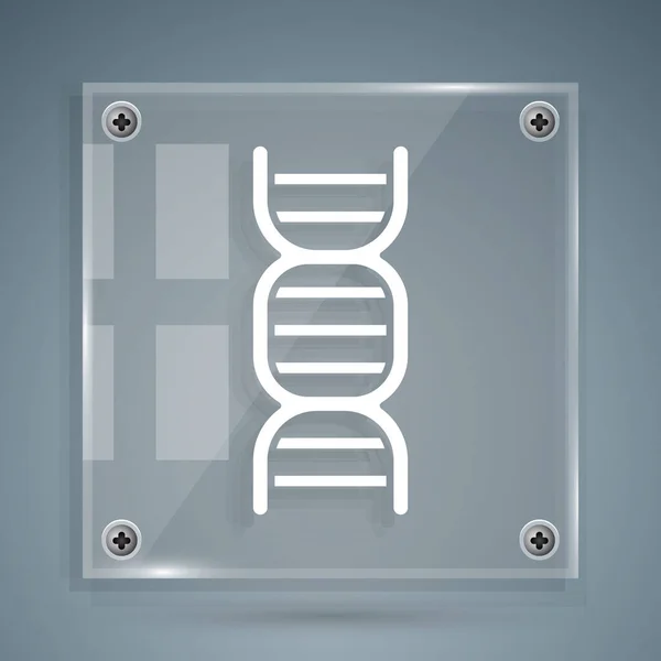 Weißes Dna-Symbol isoliert auf grauem Hintergrund. Quadratische Glasscheiben. Vektorillustration — Stockvektor