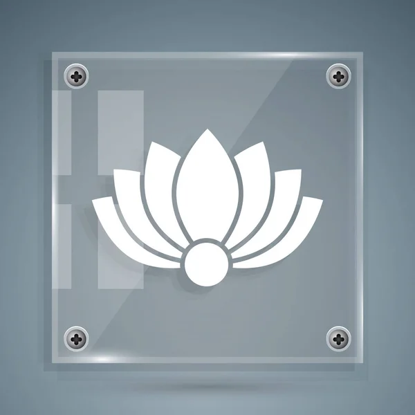 Icône fleur de lotus blanche isolée sur fond gris. Panneaux carrés en verre. Illustration vectorielle — Image vectorielle