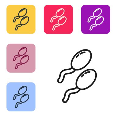 Siyah çizgi Sperm simgesi beyaz arkaplanda izole edildi. Renkli kare düğmelerle simgeleri ayarla. Vektör İllüstrasyonu