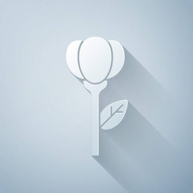 Kağıt kesiği lale simgesi gri arkaplanda izole edilmiş. Kağıt sanatı tarzı. Vektör İllüstrasyonu