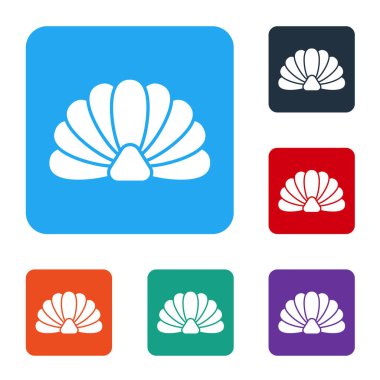 Beyaz Deniz Kabuğu simgesi beyaz arkaplanda izole edildi. Deniz kabuğu işareti. Renkli kare düğmeli simgeler. Vektör İllüstrasyonu