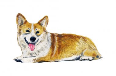 Beyaz zemin üzerine suluboya köpek siluet.