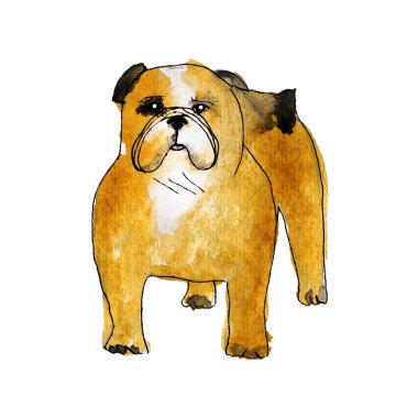 Beyaz zemin üzerine suluboya köpek siluet.