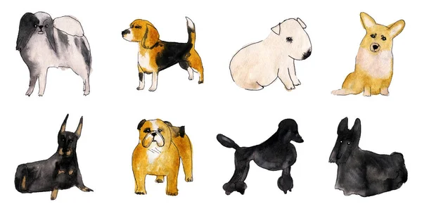 Набор акварельных иллюстраций собак на белом фоне — стоковое фото